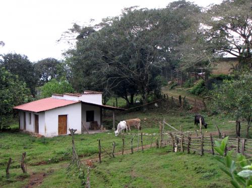 Our Cabin on the Farm